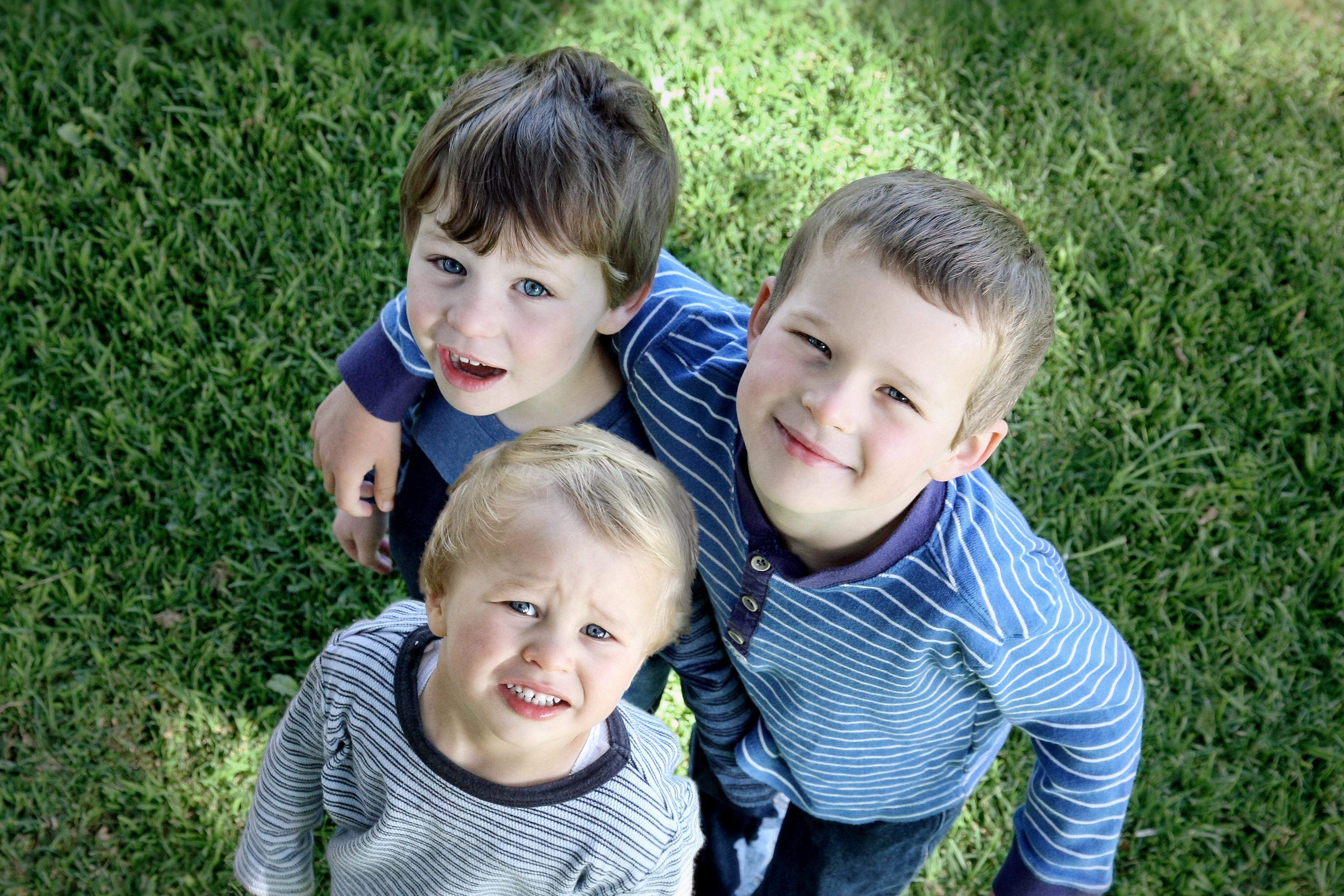Three brothers aged 2-7 years